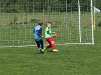 U7 U8 Turnier 13052017 (27)